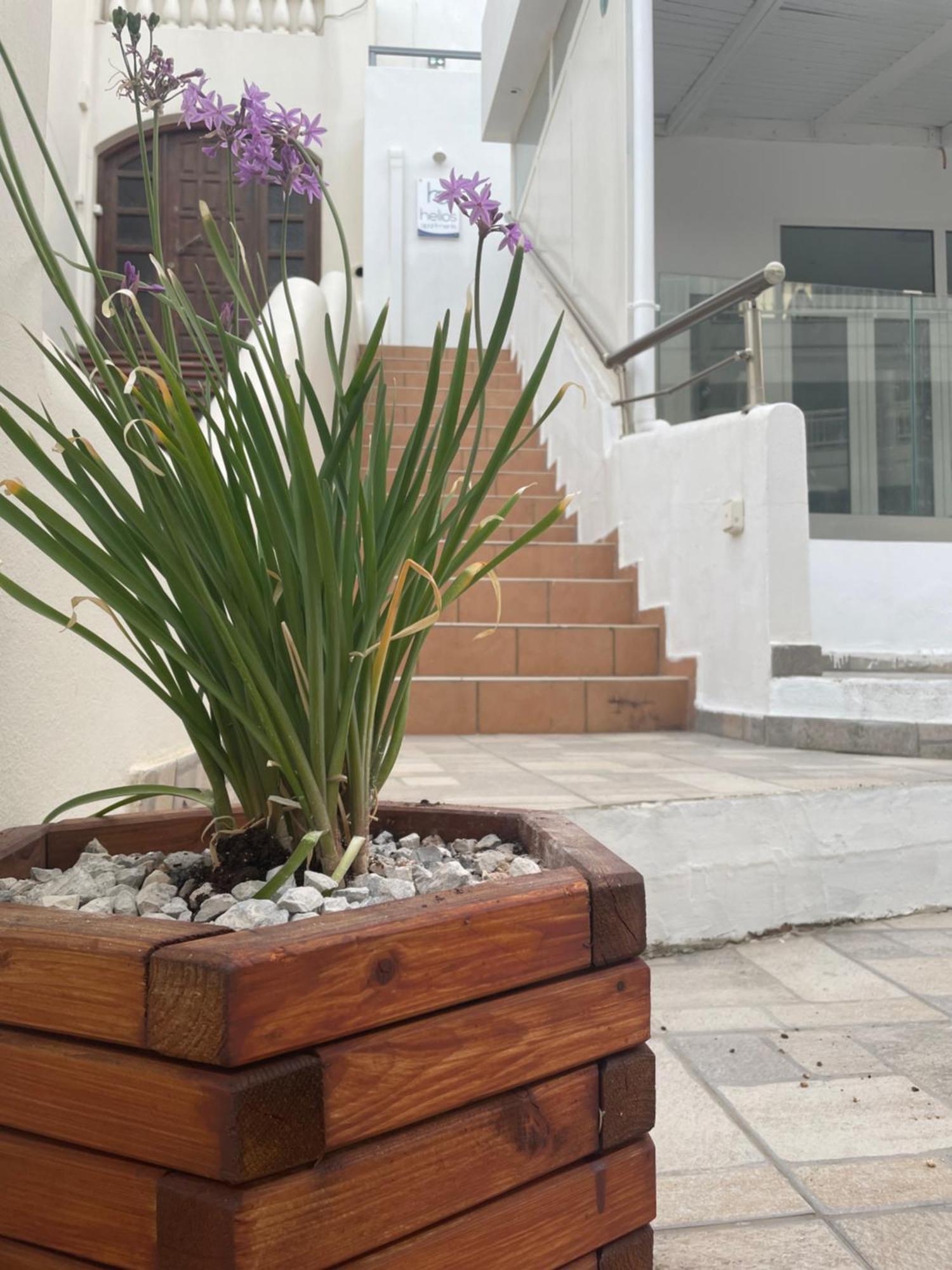 Helios Apartments Plakias Exterior foto